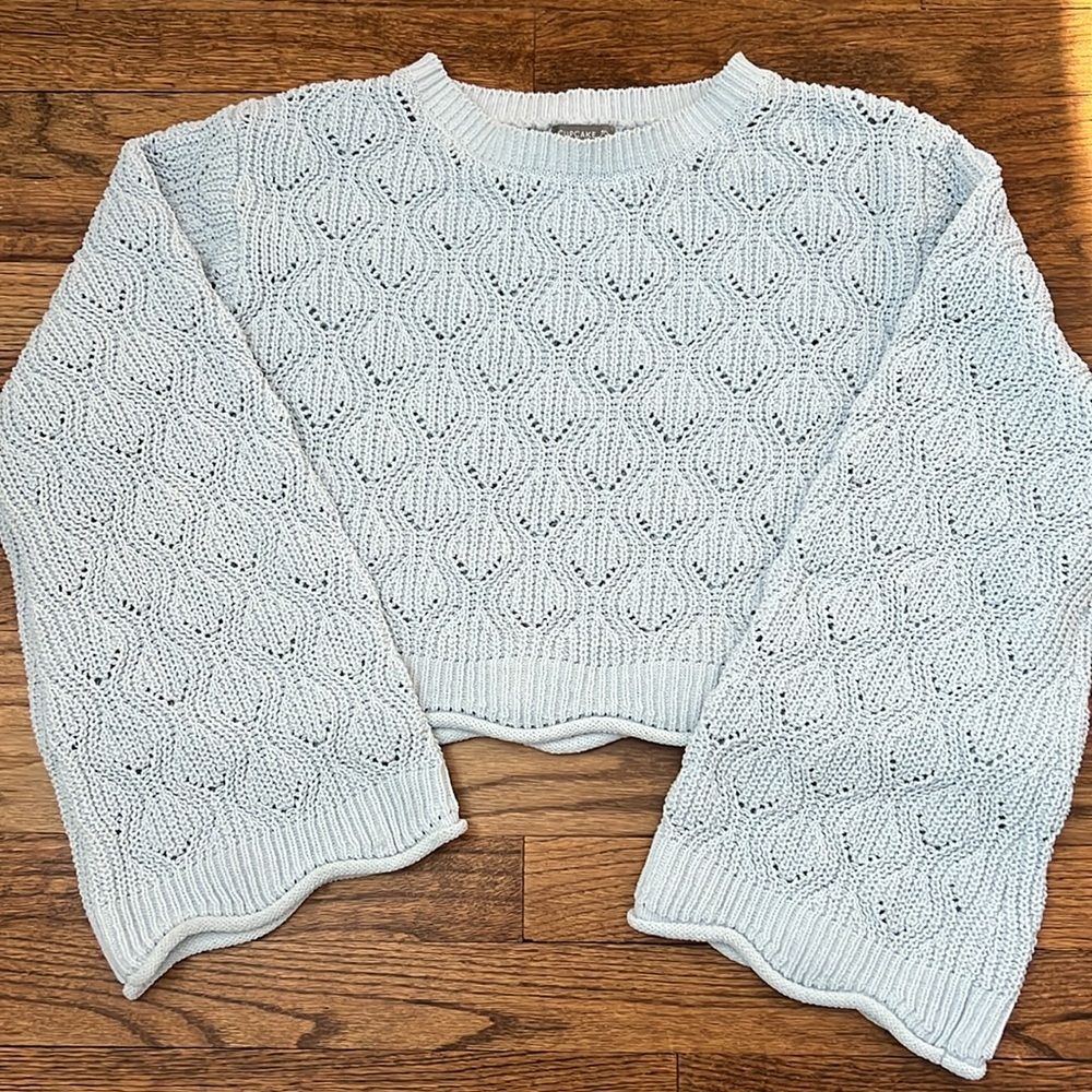 Francesca’s baby blue cropped sweater with flared sleeves